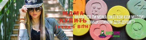 амф Богданович
