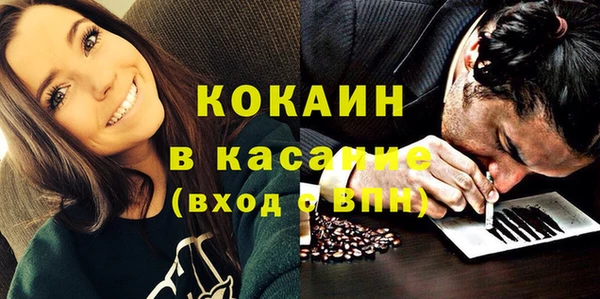 кокс Богородицк