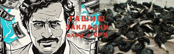 амф Богданович