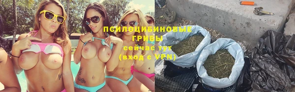 амф Богданович