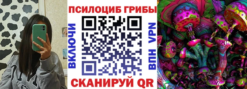 Псилоцибиновые грибы Magic Shrooms  Питкяранта 