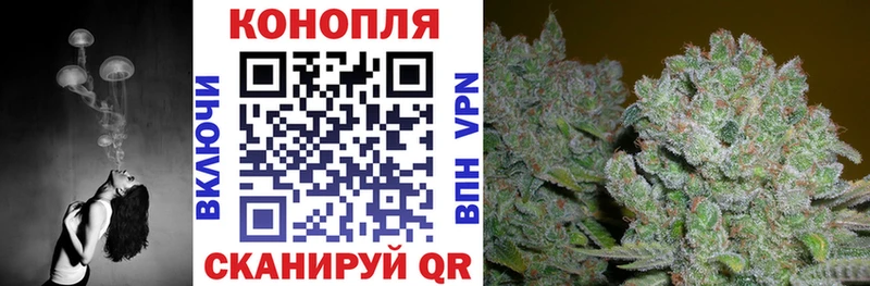Канабис сатива blacksprut зеркало Питкяранта